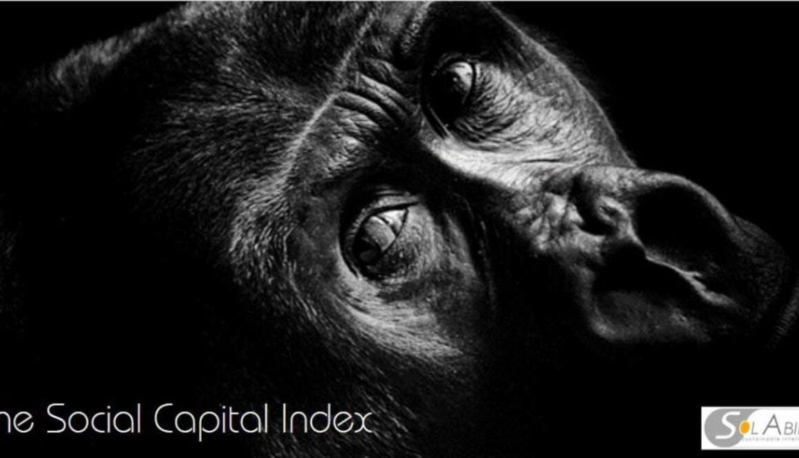 Social Capital Index Social Capital Index