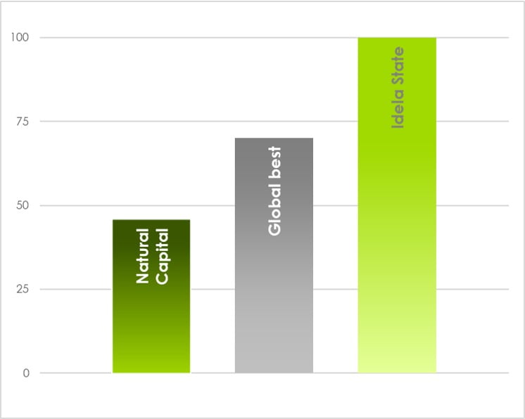 Natural Capital Global Scores