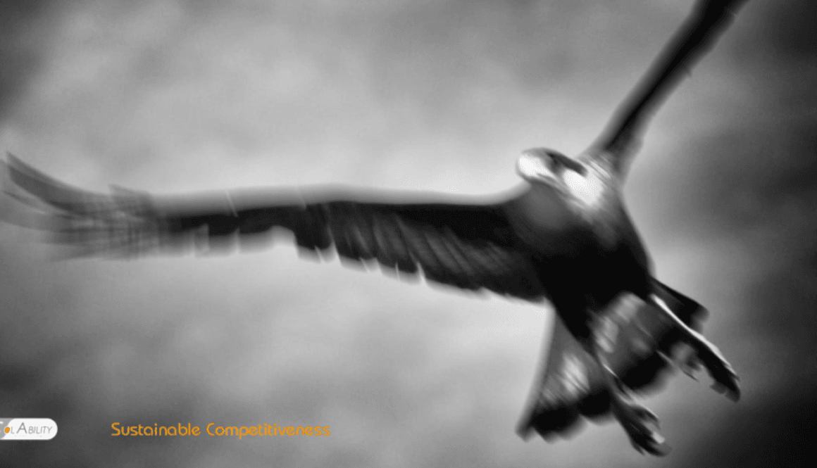 Gulf Country Sustainability