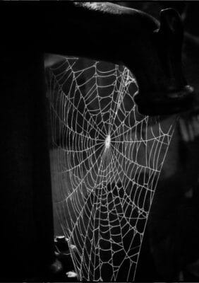 Download the data : [download id="11713"] (xlsx)